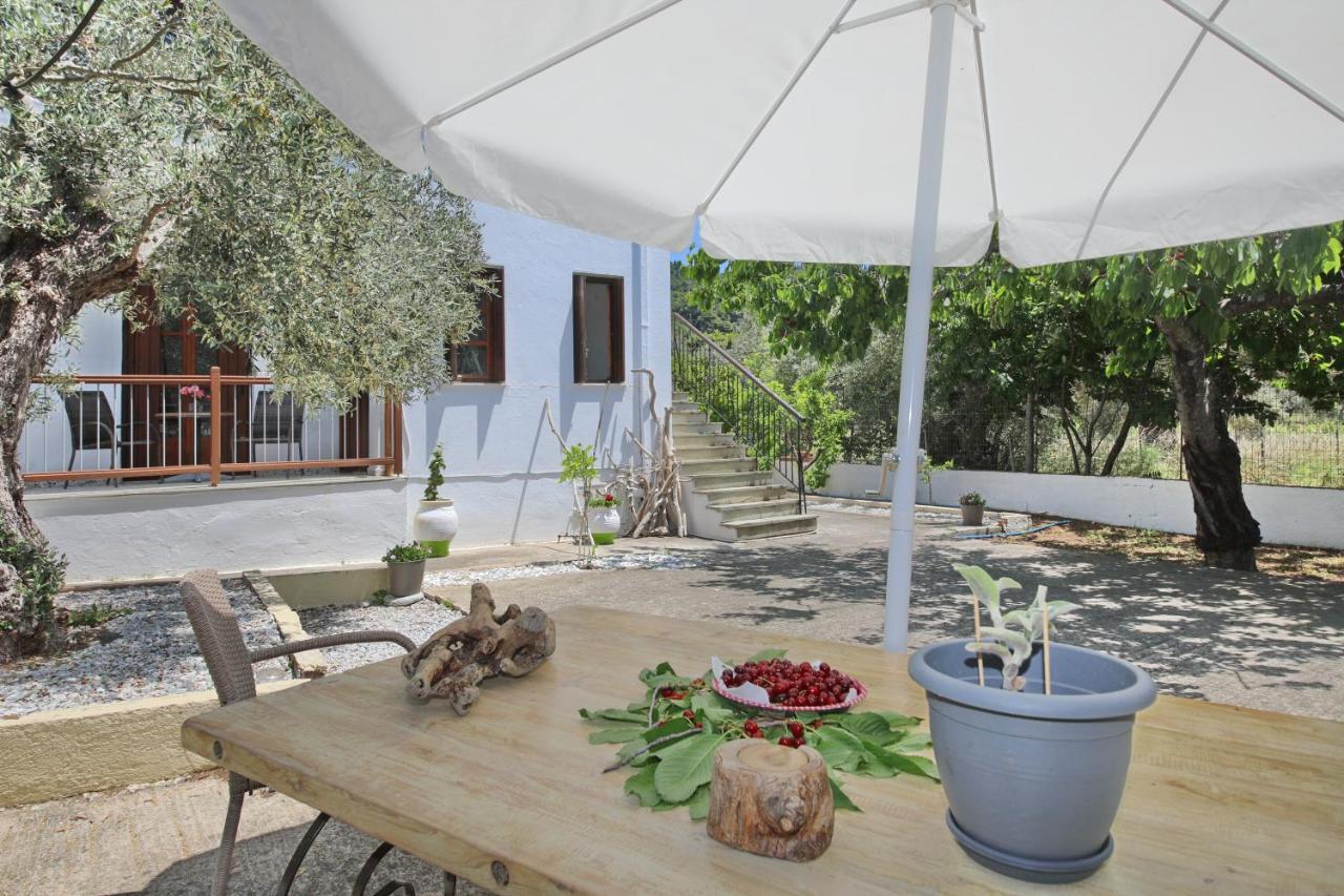 Skopelos Evergreen Apartments Stafylos Luaran gambar