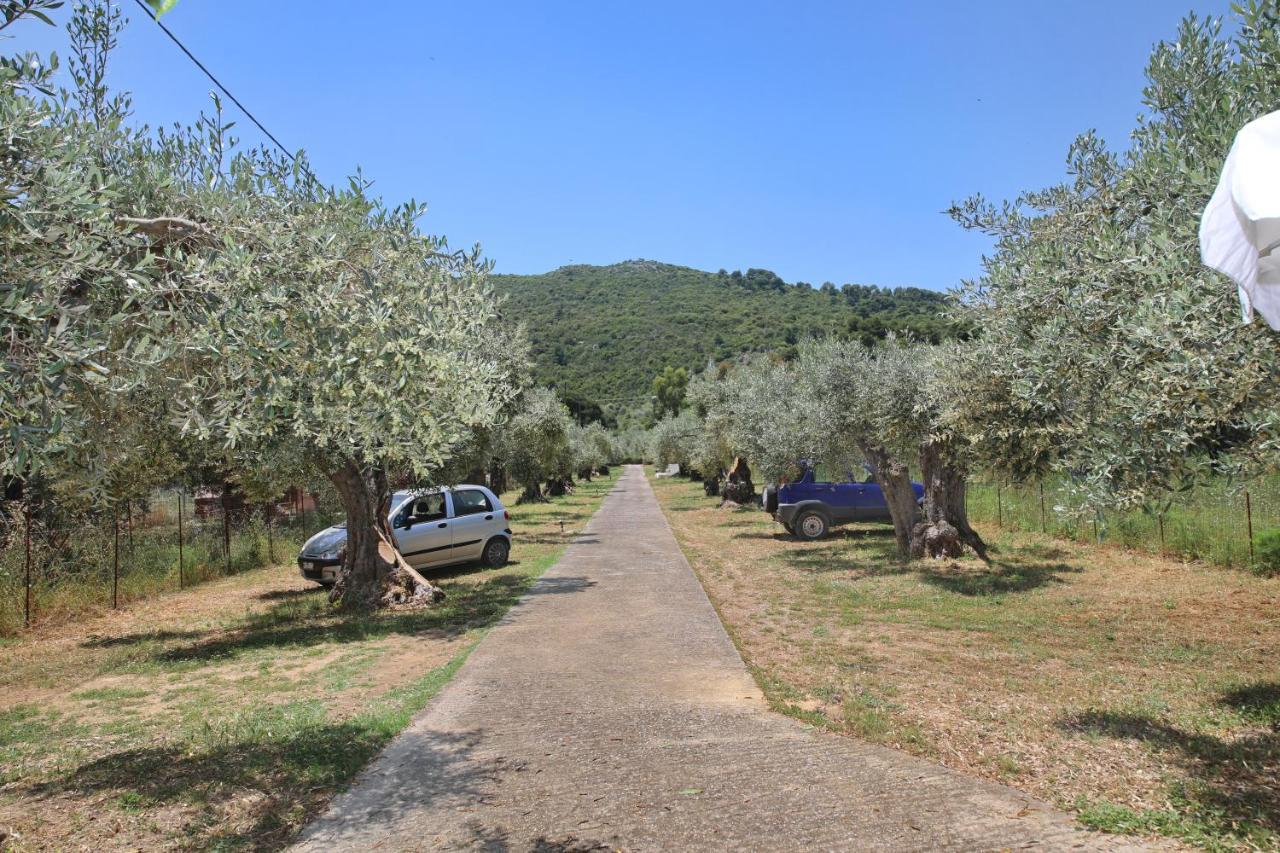 Skopelos Evergreen Apartments Stafylos Luaran gambar