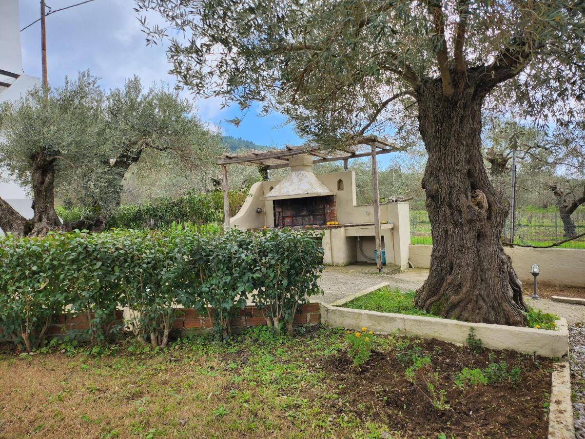 Skopelos Evergreen Apartments Stafylos Luaran gambar