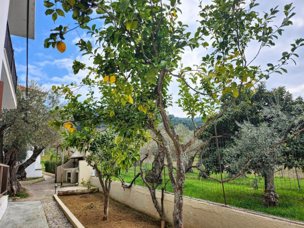 Skopelos Evergreen Apartments Stafylos Luaran gambar