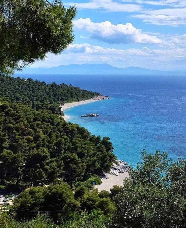 Skopelos Evergreen Apartments Stafylos Luaran gambar
